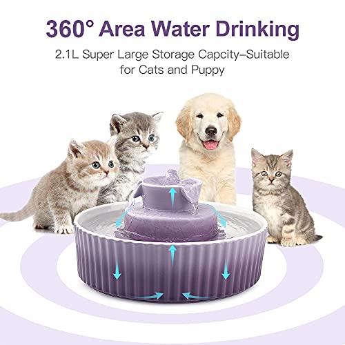 Image of Cat Water Fountain: Cepheus Pet Drinking Fountain-2.1L /71oz Cat Fountain-Automatic Water Fountain for Cats and Dogs with with Ultra-Quiet Pump(Purple)
