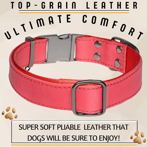 Image of ADITYNA Leather Dog Collar for Large & Extra Large Dogs, Adjustable 19-30 inch | Padded, heavy-duty metal buckle. Great for walking, training - ideal for Rottweiler, German Shepherd, Golden Retriever.