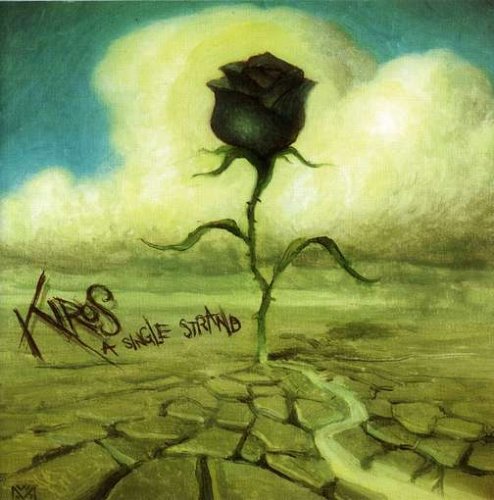 Single Strand [Audio CD]