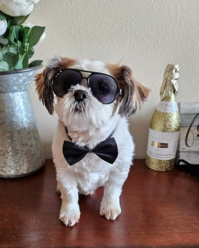 Disfraz para perro con gafas retro y corbatín ajustable miniatura 4