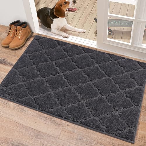 COSY HOMEER Front Door Mat 60x90 CM, Dirt Trapper Floor Mat