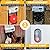 Automatic Chicken Coop Door Opener, ChickenGuard One in All 4 Colours, Timer/Light Sensing, Winter Mode, Auto-Stop & Predator Proof, 3 Power Options, Solar, Battery or Electric (Gray + Solar Kit)