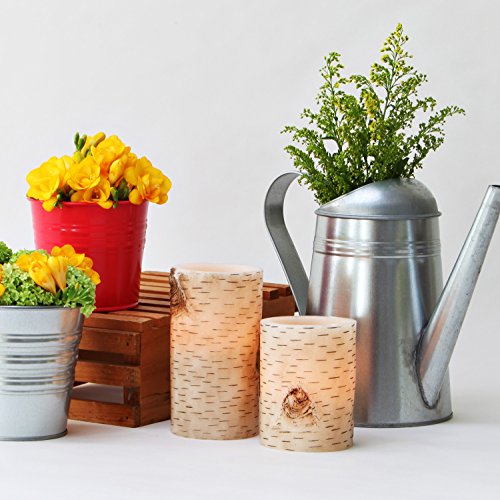 2 Birch Bark Flameless Pillar Candles with Warm White LEDs, Wax, Variety Set, Battery Operated - Thumbnail 3