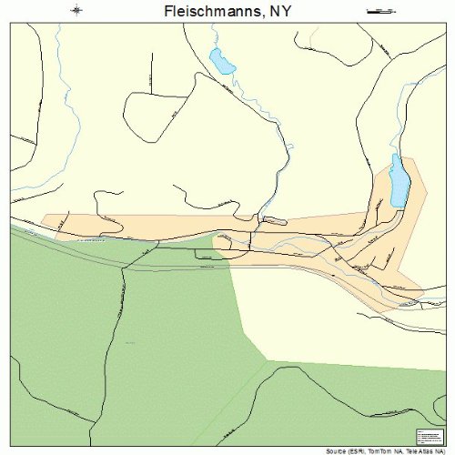 Large Street & Road Map of Fleischmanns, New York NY Printed poster