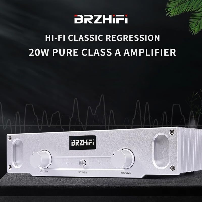 Amazon.co.jp: BRZHIFI A1S クラスAパワーアンプ 20W×2 2.0チャンネル