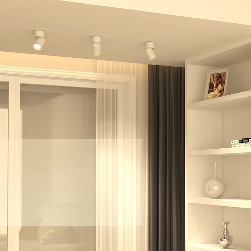 Faretti da soffitto a LED, faretti da soffitto, faretti da Parete Regolabili, Lampada da Parete per Illuminazione di Quadri o Kit di Illuminazione a Binario Fisso da soffitto (bian