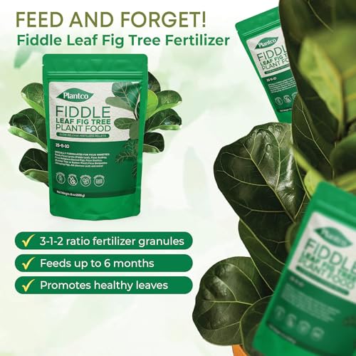 Fertilizante Granulado para Ficus y Plantas de Hojas miniatura 3