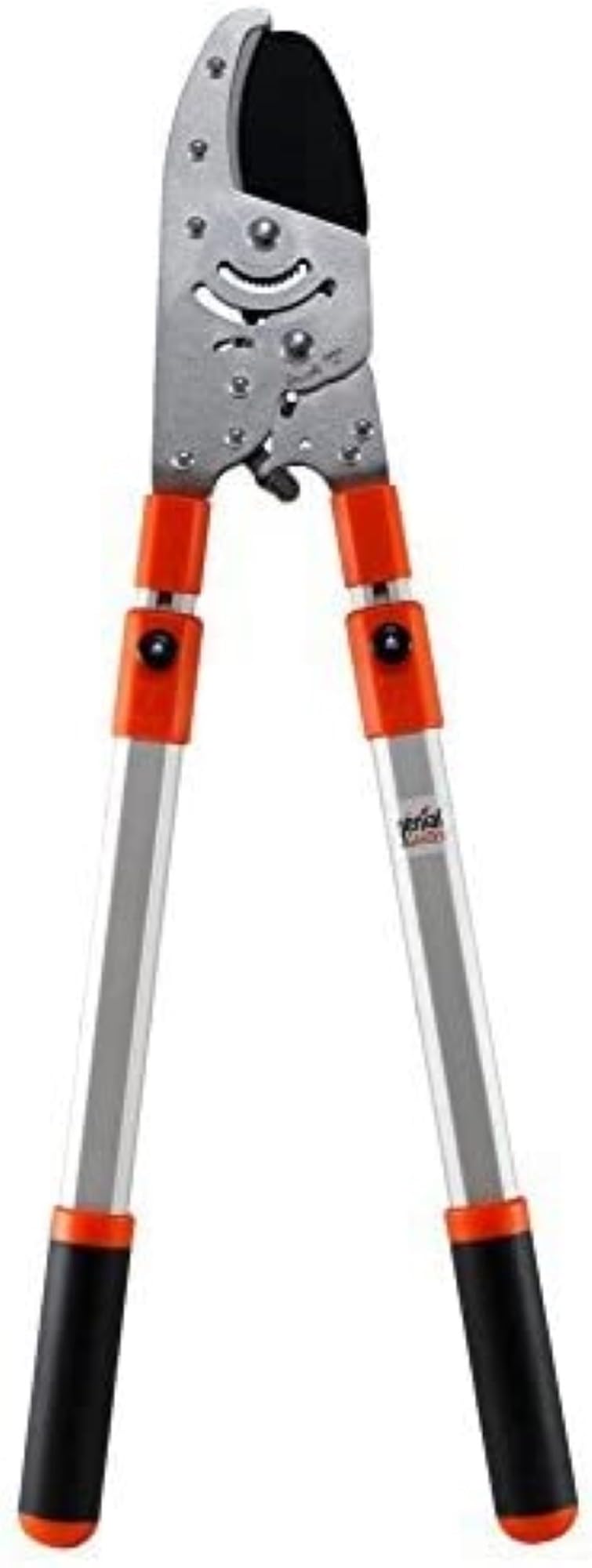 Coupe-Branches à Crémaillère Ultra Puissant | Cisaille Télescopique Réglable 60-108 cm | Lame Acier SK5 | Poignées Ergonomiques | Coupe Facile Bois Dur 5 cm | Outil Élagage Jardin