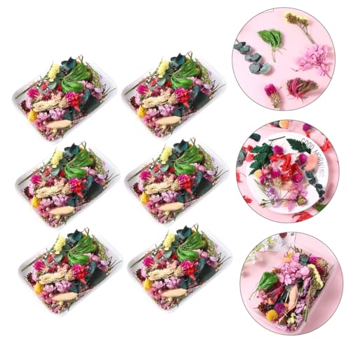 6 Cajas de Flores Secas Naturales para Manualidades miniatura 2