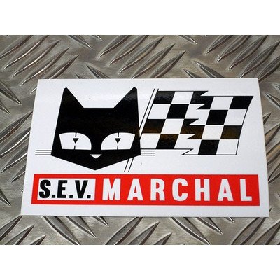 Devin Neko  マーシャル    黒猫9625クロネコ 🐈‍⬛ 揺れ猫✨🫨🌾🐈‍⬛ #ねこじゃらし ・ ・ ・ Swinging cat