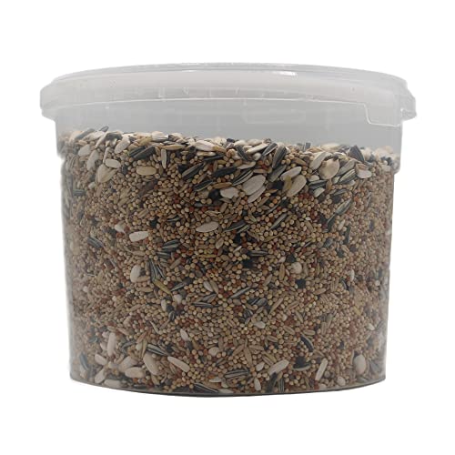 Extra Select Cockatiel & Big Parakeet Food: Complete High-Protein Bird Seed Mix for Indoor Birds - 3 Litre Bucket - Image 3