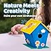 Neliblu DIY 12 Wooden Bird House Kits - Creative Arts and Crafts Set for Kids and Adults - Unfinished Wood Birdhouses with Paint Strips, Brushes, Stickers and Strings - 3 Unique Shapes, 2 Sizes