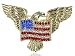 Golden Tone American Eagle Rhinestone USA Flag Brooch Pin - Lovely American Patriotic Costume Jewelry
