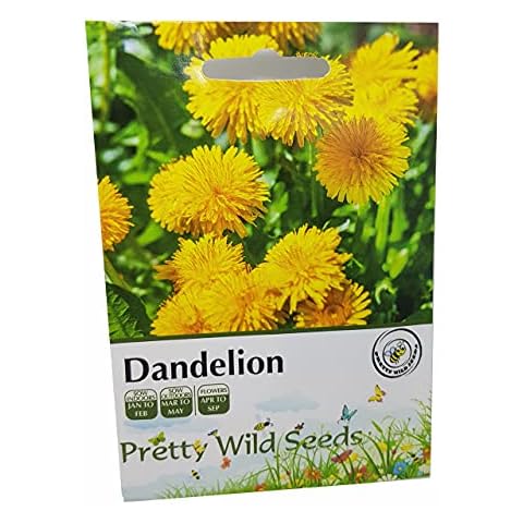 Dandelion Wildflower Seeds in Pictorial Packet from a UK Seller Cover