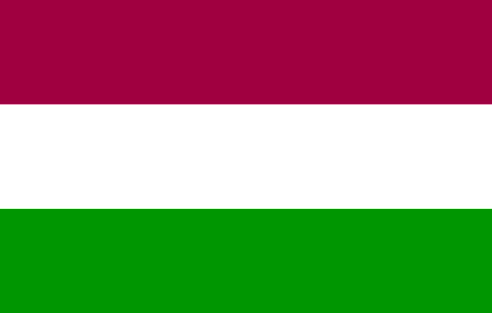 Drapeau de l'Inde 1,35m² grand format paysage pour pavoisement extérieur