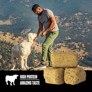   ORIJEN-Freeze-Dried-Original-Dog-Treats-WholePrey-Ingredients-325oz