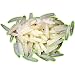 Glow in the Dark Maggots Prop