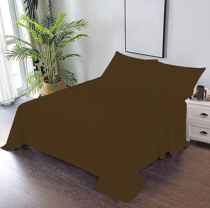 Chocolate Solid