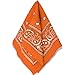 Amscan Bandana, Party Accessory, Orange