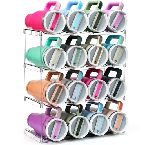 LANDNEOO Premium 4 Tier Acrylic Organizer