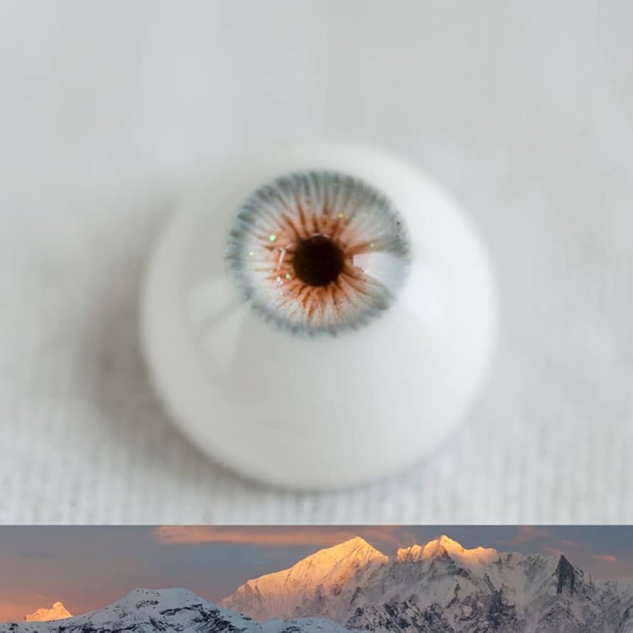 人形の眼 Amazon.co.jp: 1/3 1/4 1/6 1 / 8BJD人形の目交換可能12mm14mm