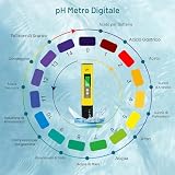 flintronic B0BG6TVBYB lato 4