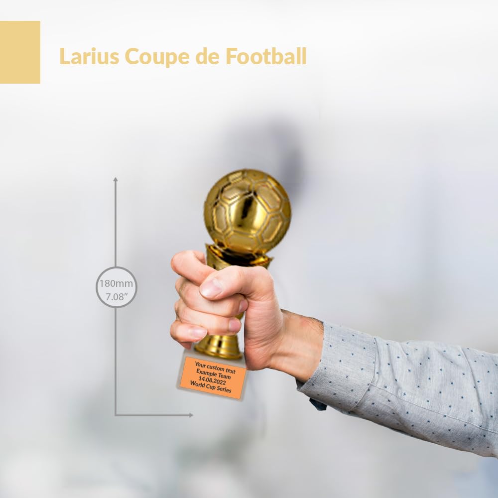 Trophée De Foot Larius Group - Extra Large 245mm - Gravure Personnalisée - Chaussure Dorée - Gardien