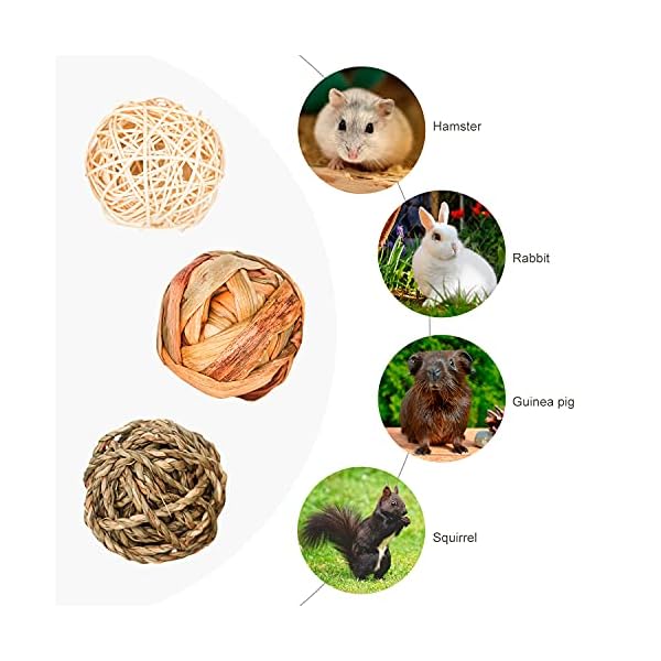 Episkey 9 Stück Kaninchen-Spielzeug, Kaninchen-Leckerlis, Meerschweinchen, Spielzeug für kleine Haustiere, Kaubälle, Grasbälle, natürliches Spielzeug für Kaninchen, Rennmäuse und Hamster (7,8 cm) – Bild 4