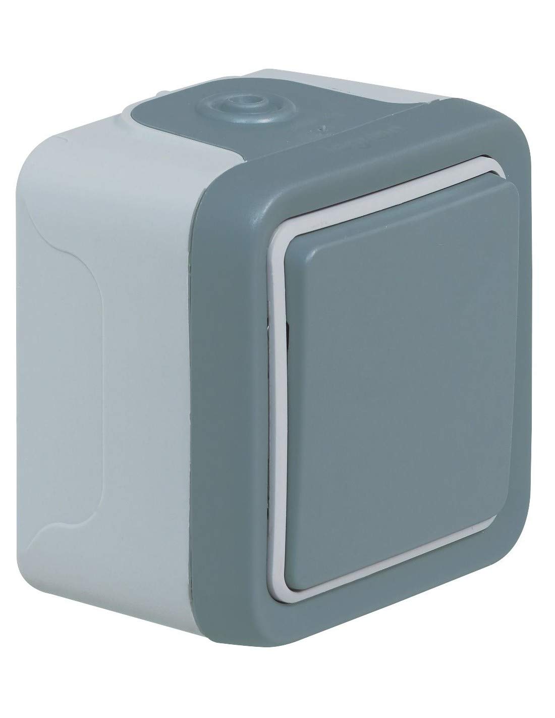 Double interrupteur Plexo Legrand 069855 étanche encastré blanc