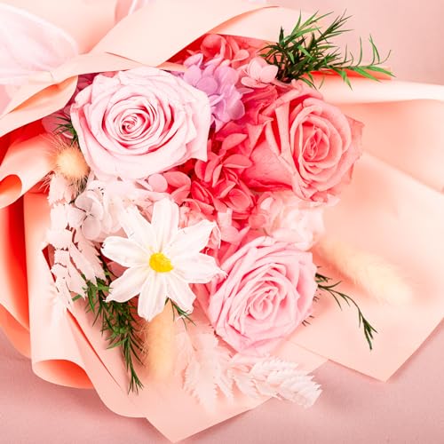 XMFAYUAN-Preserved-Flower-Forever-Flowers-Fresh-Flowers-XMFAYUAN-Roses-Flowers-Mothers-Day-Christmas-Anniversary-Wife-Girlfriend-Birthday-Gifts-for-Her-Delivery-Prime XMFAYUAN Preserved Flower Forever Flowers Fresh Flowers XMFAYUAN Roses Flowers Mothers Day Christmas Anniversary Wife Girlfriend Birthday Gifts for Her Delivery Prime