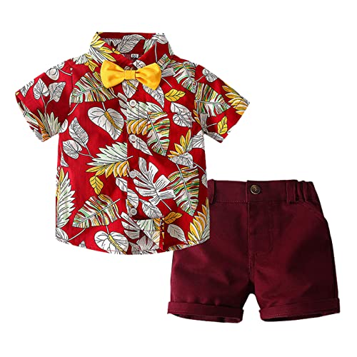 NLGToy Conjunto de shorts para meninos de verão para meninos e meninos de manga curta com estampa fl