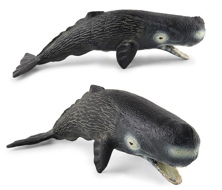 Image of SmilerSmile 8.3 inch Sperm Whale Figurine Plastic Sea Creature Toy for Toddlers | Solid PVC Action Figure, Simulation Sea Animals, Educational Ocean Animal Model, Non-toxic Safe Bath Toy for Kids