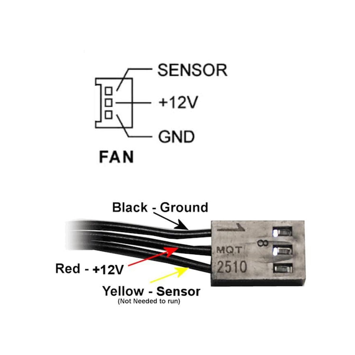Amazon.com: Coolerguys Dual Ball Bearing 12v 3pin Fan (120x25mm, High  Speed) : Electronics