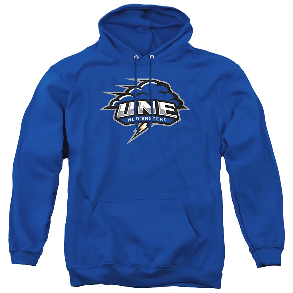 LOGOVISION Official Collegiate Distressed Primary Logo Adult Pullover Hoodie Collection — view 461