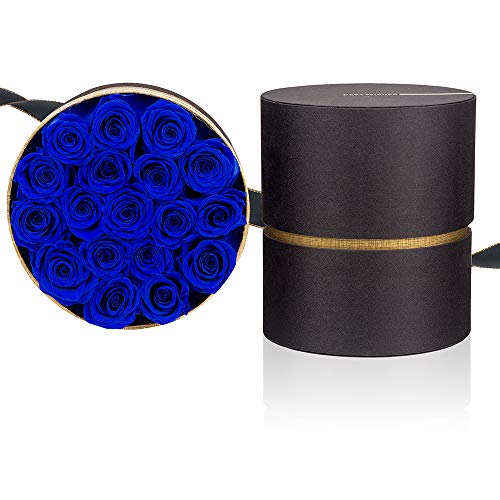 Royal Blue Preserved Roses Handmade Real Roses in Flowers Box That Last a Year, Long Lasting Rose for Valentine's Day, Mother's Day, Birthday, Christmas, Anniversary, Wedding, Thanksgiving