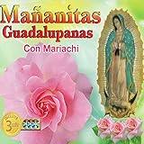  Santa Maria del Camino