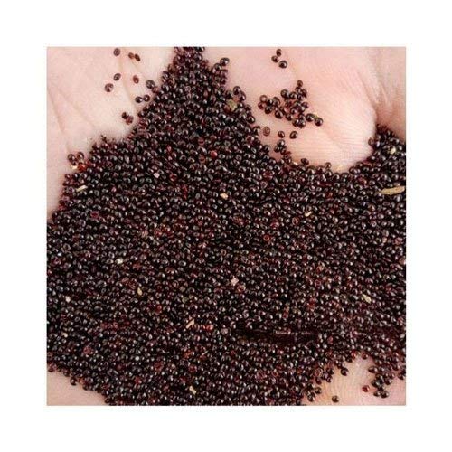 さらん Red Amaranth Spinach Seeds - JABAKUSUM - Lal Shak Seeds (200