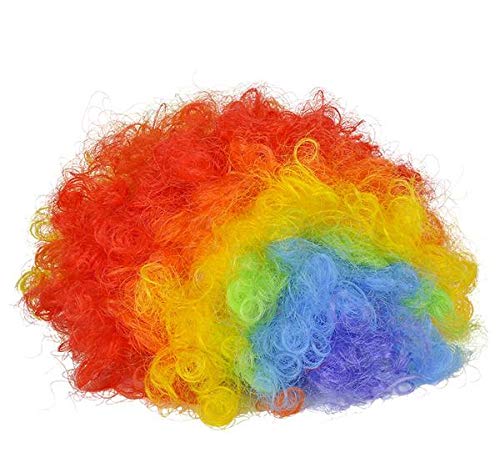 Rainbow Clown Wig, Case of 72