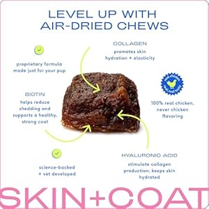 Native Pet Omega Skin and Coat Chews for Dogs - Dog Skin and Coat Supplement for Healthy, Shiny Fur, Reduce Shedding and Dry Spots - Made with Omega 3 Fish Oil and Wild-Caught Salmon Oil - 30 Chews Native Pet Omega Skin and Coat Chews for Dogs Dog Skin and Coat Supplement for Healthy Shiny Fur Reduce Shedding and Dry Spots Made with Omega 3 Fish Oil and Wild Caught Salmon Oil 30 Chews