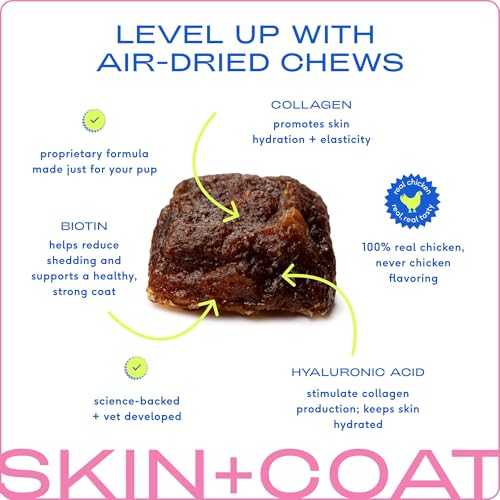 Native-Pet-Omega-Skin-and-Coat-Chews-for-Dogs-Dog-Skin-and-Coat-Supplement-for-Healthy-Shiny-Fur-Reduce-Shedding-and-Dry-Spots-Made-with-Omega-3-Fish-Oil-and-Wild-Caught-Salmon-Oil-30-Chews Native Pet Omega Skin and Coat Chews for Dogs Dog Skin and Coat Supplement for Healthy Shiny Fur Reduce Shedding and Dry Spots Made with Omega 3 Fish Oil and Wild Caught Salmon Oil 30 Chews