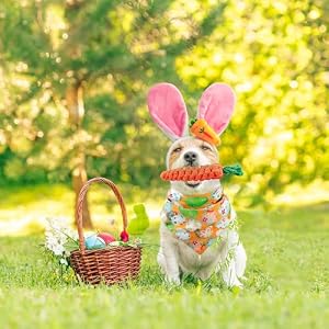 Dorakitten Dog Easter Costumes - Adorable Bunny Ears Headband Cute Dog Bandana Funny Carrot Shape Rope Teeth Cleaning Dog Chew Toys Gifts for Pet Puppy 4 PCS Dorakitten Dog Easter Costumes – Adorable Bunny Ears Headband Cute Dog Bandana Funny Carrot Shape Rope Teeth Cleaning Dog Chew Toys Gifts for Pet Puppy 4 PCS
