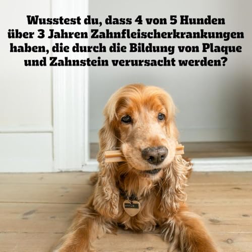 PEDIGREE DentaStix Hundesnack für kleine Hunde (5-10kg), Zahnpflege-Snack mit Huhn und Rind, 1 Packung je 56 Stück (1 x 880 g)