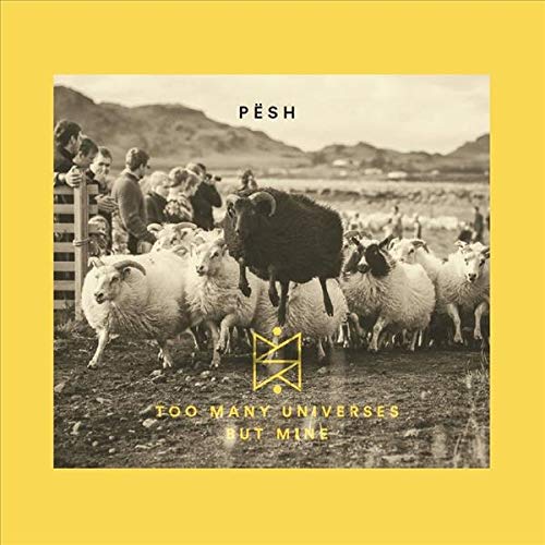 Too Many Universes But Mine