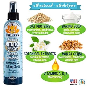 Bodhi Dog Anti Itch Spray | Natural Soothing Relief for Dry Itchy Bitten or Allergy Damaged Skin Treatment | Anti Itch Spray for Dogs  Cats | Made in Usa oatmeal 8 Oz  Cucciolini Doodles Bodhi dog anti itch spray | natural soothing relief for dry itchy bitten or allergy damaged skin treatment | anti itch spray for dogs  cats | made in usa oatmeal 8 oz   cucciolini doodles