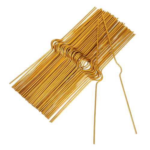 SHOWERORO 100 J_[nK[tbN Ȏʐ^nK[ |X^[nMOtbN Golden