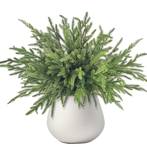 ROLLWAY 6 Stück Norfolk Pine Tannenzweige Künstlich wie echt，46cm...
