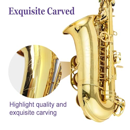alto saxophone e flat for adults student sax eb alto full kit with carrying sax case mouthpiece straps reeds saxophone beginner kit