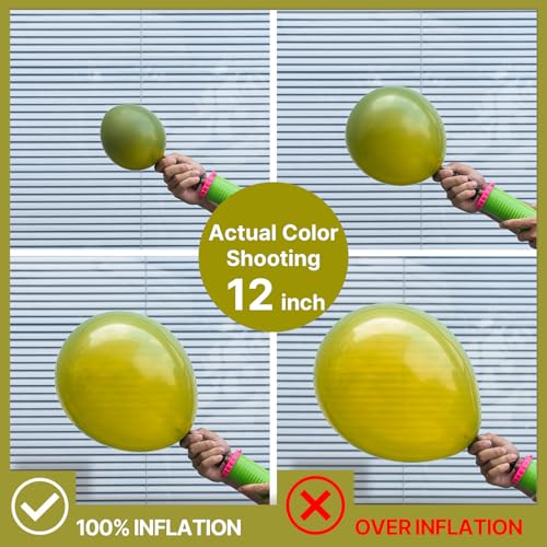 Image of PartyWoo Sage Green Balloons 50pcs Olive Eucalyptus Dusty Green Boho Color | 12 Inch Balloons for Graduation Bridal Shower Wedding Jungle Dinosaur Birthday Gender Reveal Party Decorations Green-F06