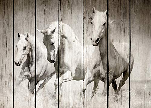 ARTESTOCK Cuadro Madera 70 x 50 cm. Lámina barnizada con Efecto palé Especial Animales Ref 489136V (Diseño 6)