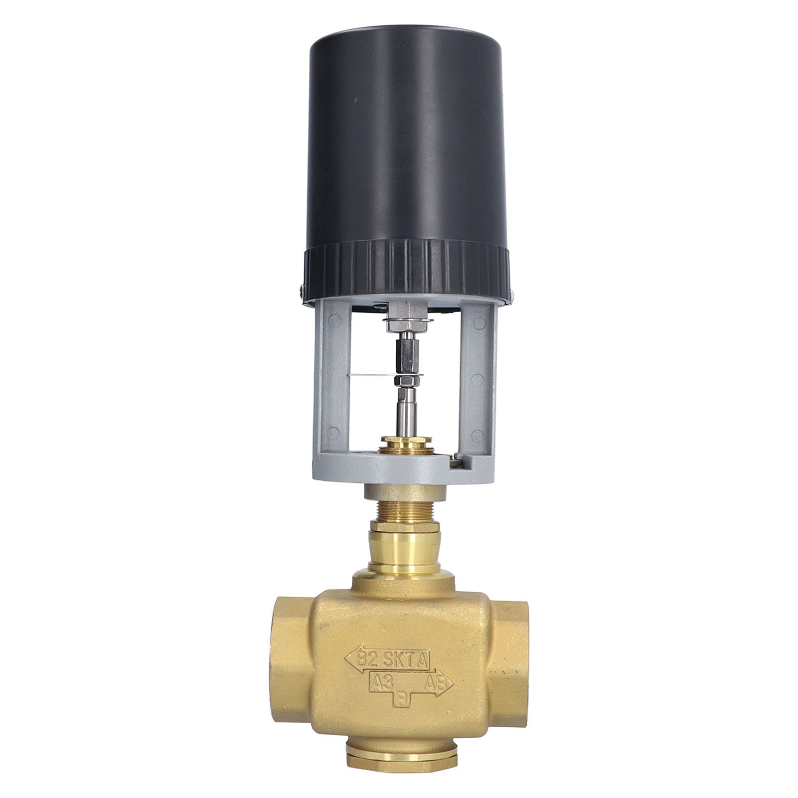 Rengue Válvula Motorizada Eléctrica 2 Vías, Latón BSP 220V CA para
